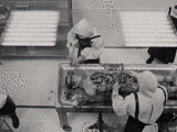 imageseitaikaibou2.gif